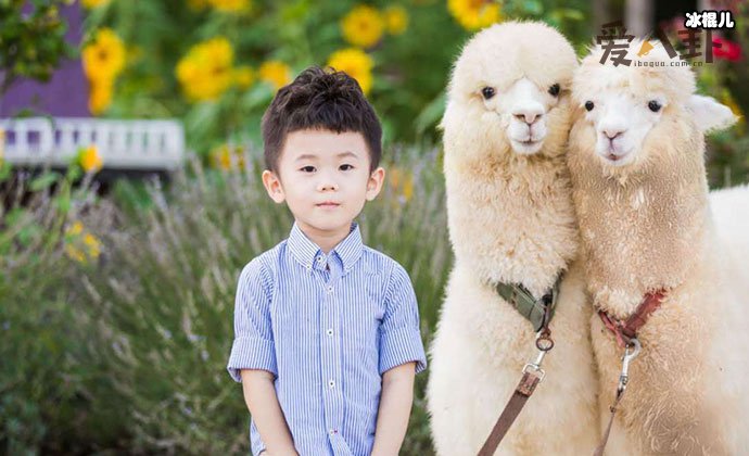 余骁睿个人资料 