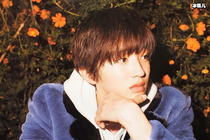 道枝骏佑资料介绍