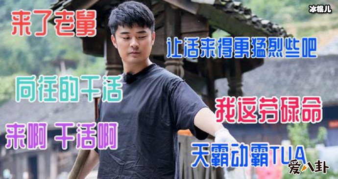 陈赫综艺节目照