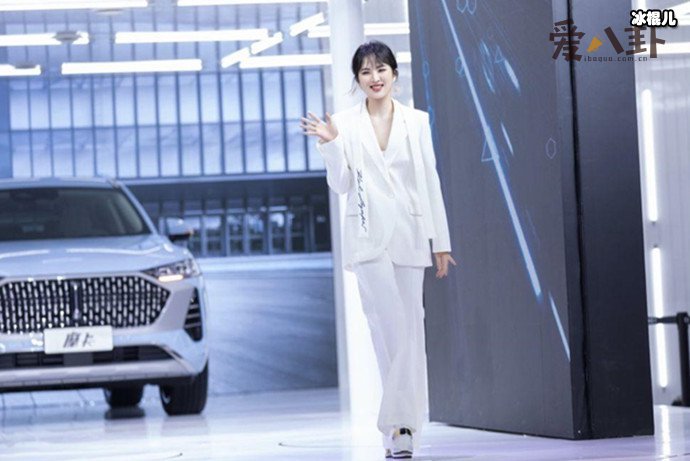 姚安娜车展生图引争议