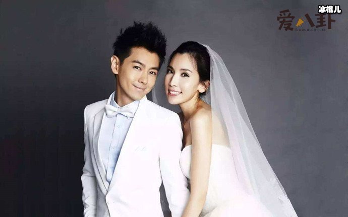 林志颖家人曾反对陈若仪和林志颖结婚