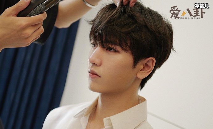 张凌赫个人资料