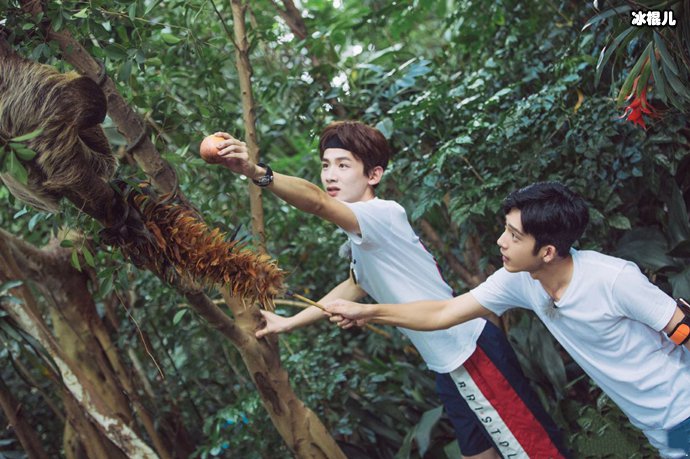 白敬亭嫌弃马思纯