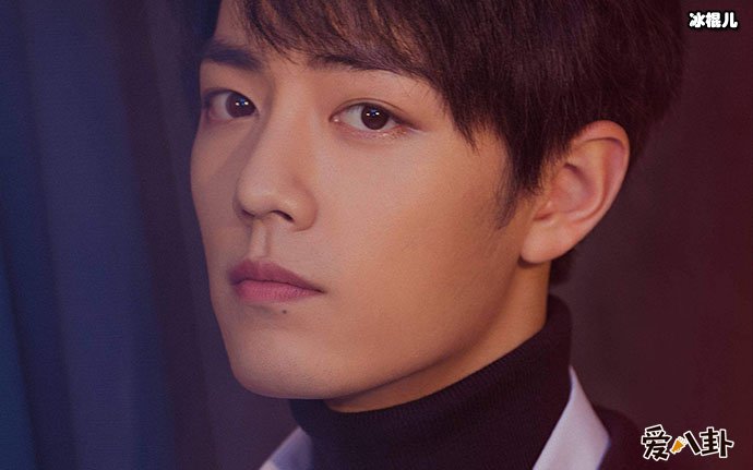 肖战为应援再发声