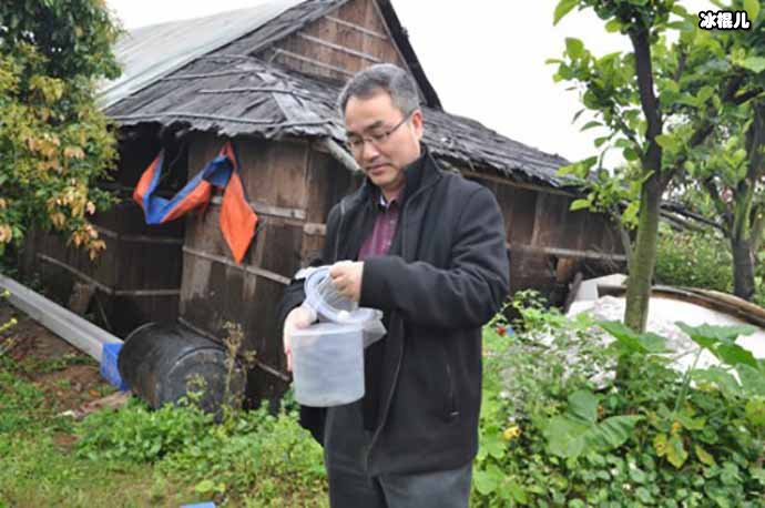 最大蚊子工厂每月放生几千万只蚊子