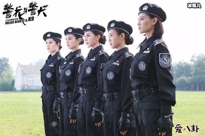 浙江卫视警花与警犬剧照
