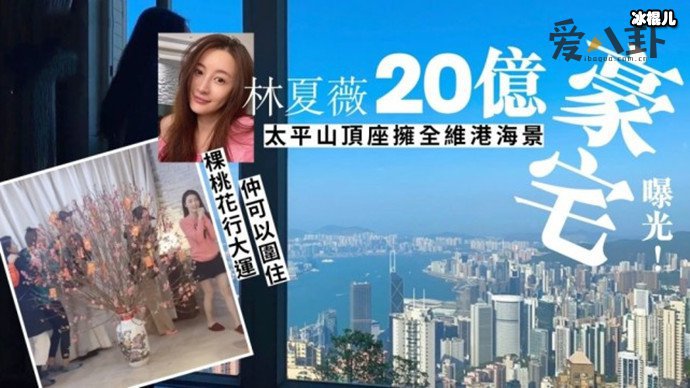 林峰堂妹林夏薇身价20亿