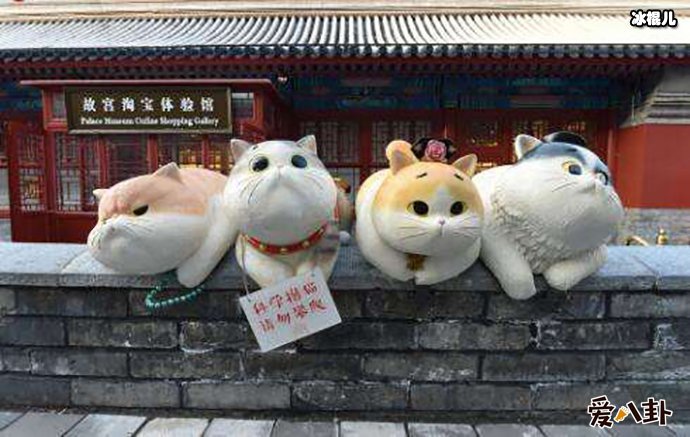 故宫出现巨型御猫
