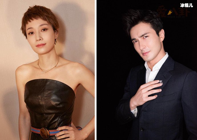 马伊琍和高伟光传绯闻？