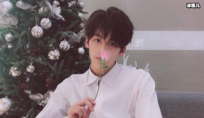 河洛洛放弃高考