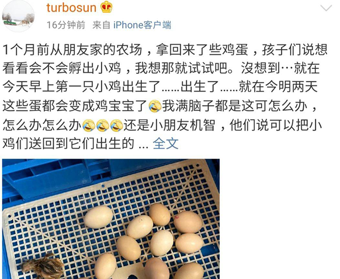 孙俪家添新丁是怎么回事