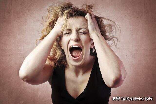 人被逼急后的行为与心理表现：从隐忍到爆发的全过程解析