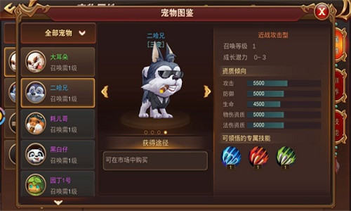 宠物对战升级路线：小宠物速成之路基础篇