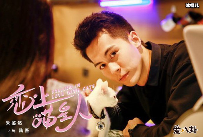 恋上喵星人剧照