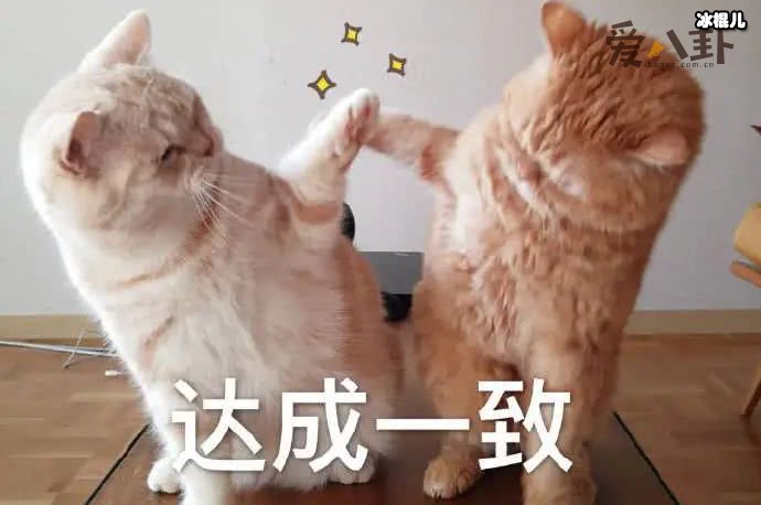 拿来吧你是什么梗