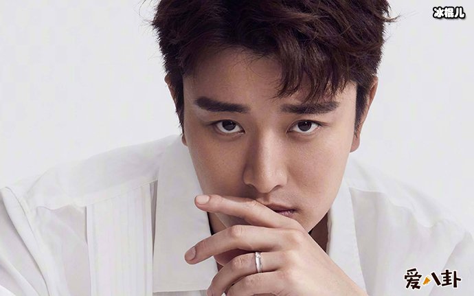 贾乃亮回应与李小璐离婚