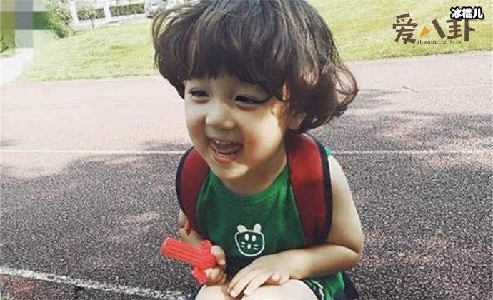 童星豪豪家庭背景