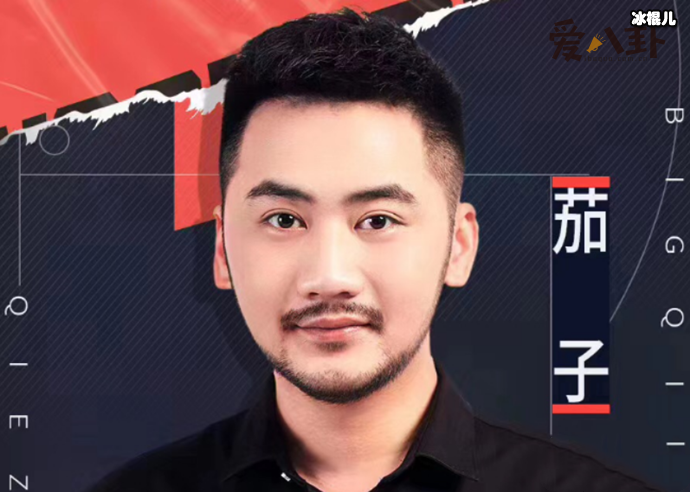 游戏主播茄子针不戳