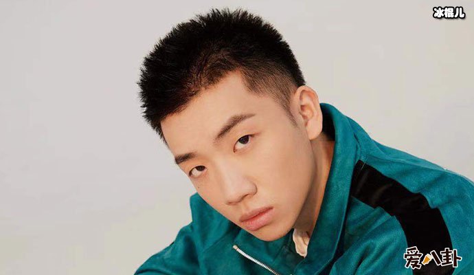 杨和苏个人资料