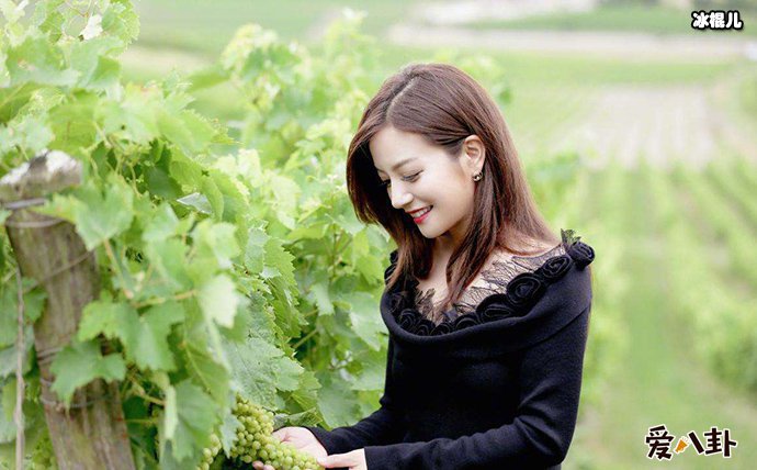 赵薇直播卖红酒