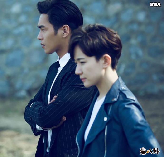 新剧《完美证据》剧情