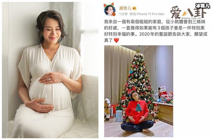 胡杏儿宣布怀三胎