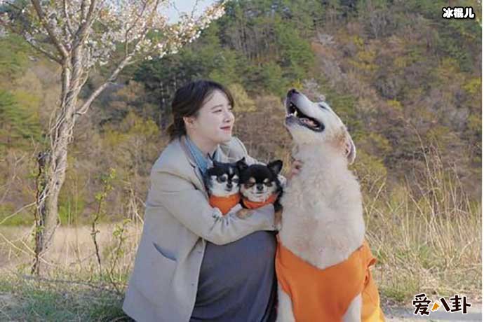 具惠善或将隐退被过分解读