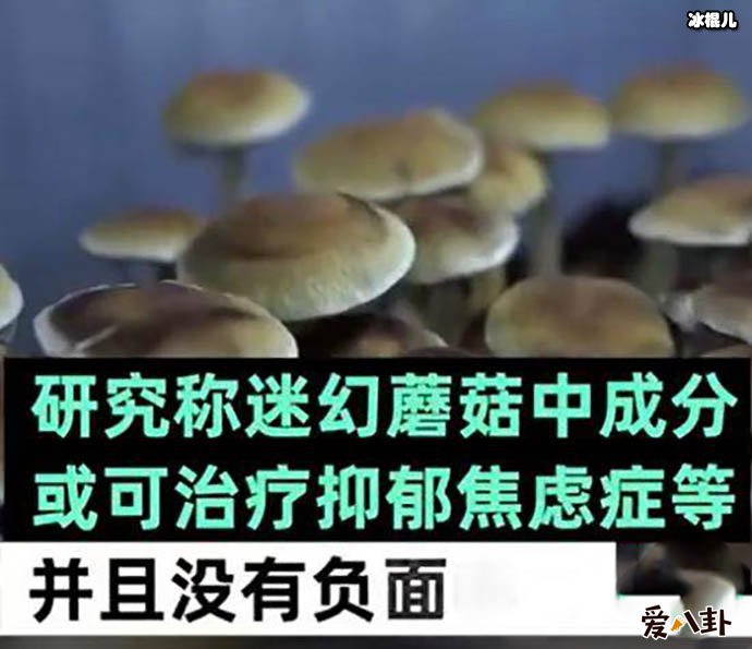 食用迷幻蘑菇是变相吸毒是怎么回事