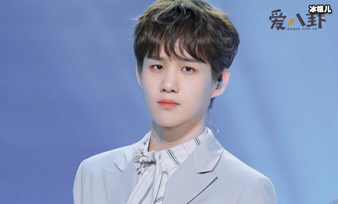 徐子未个人资料