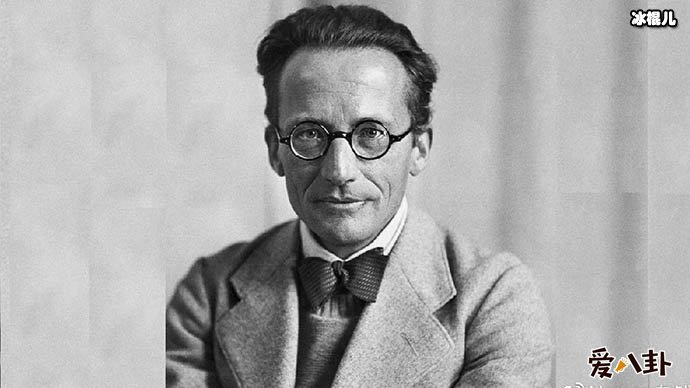 薛定谔的猫是什么梗