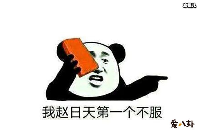 我赵日天不服是什么梗