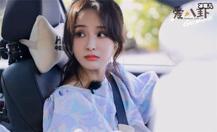 新手驾到美壬是谁