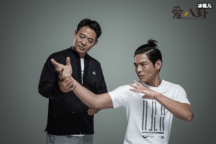 李连杰为什么打向佐