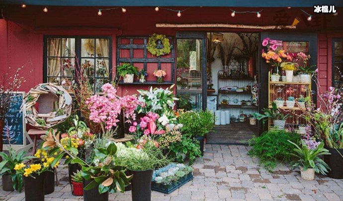 花店不开了，花继续开