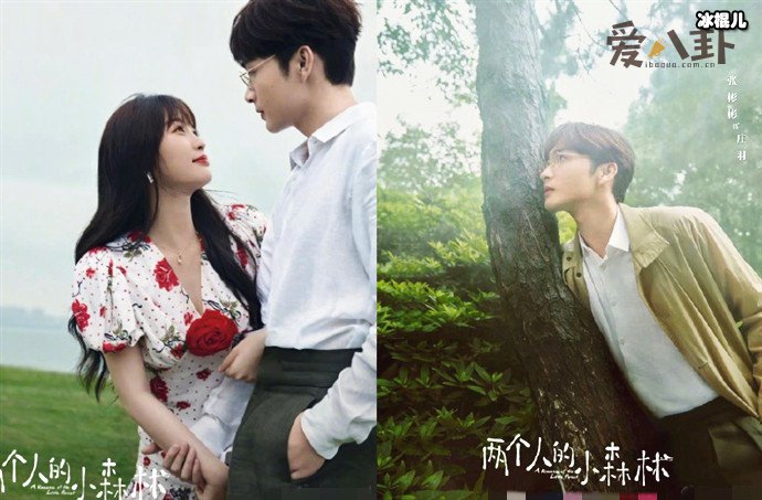 两个人的小森林海报