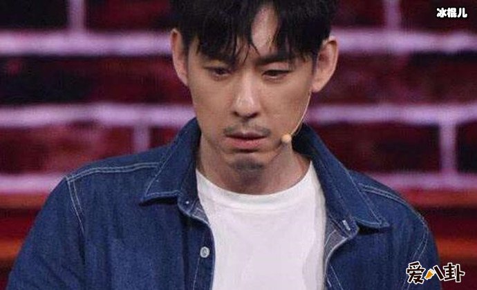 演员刘欢演为什么不红