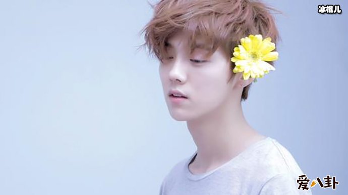 为何鹿晗张艺兴会扯上关系