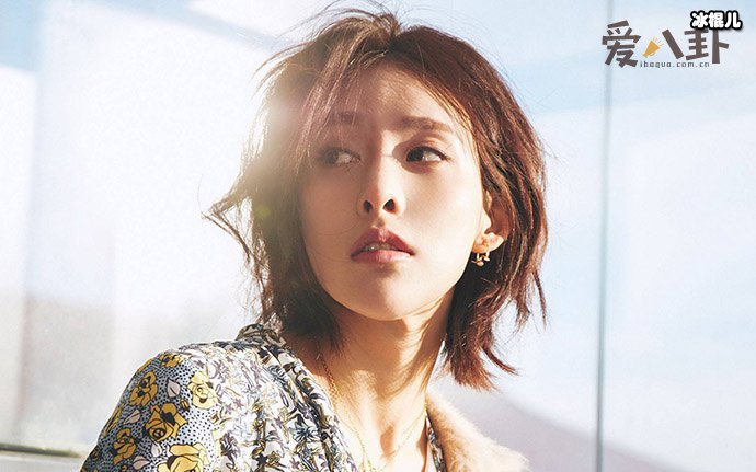 贾青不火的原因