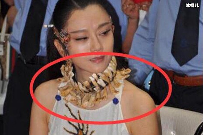 杨丽萍脖子上的装饰品
