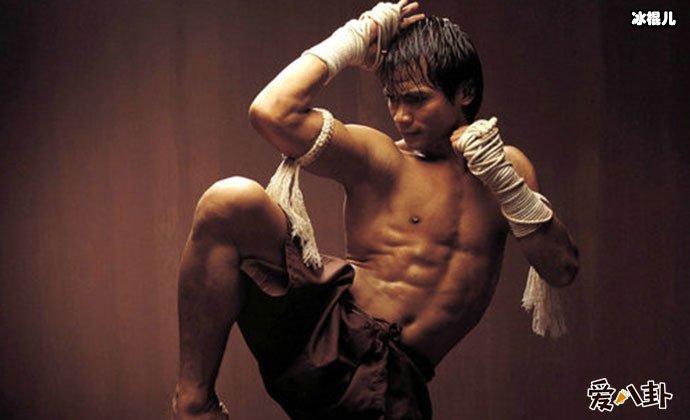 托尼贾和甄子丹谁厉害