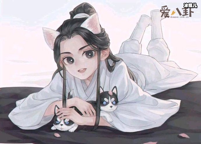 《二哈和他的白猫师尊》主要讲述了什么故事