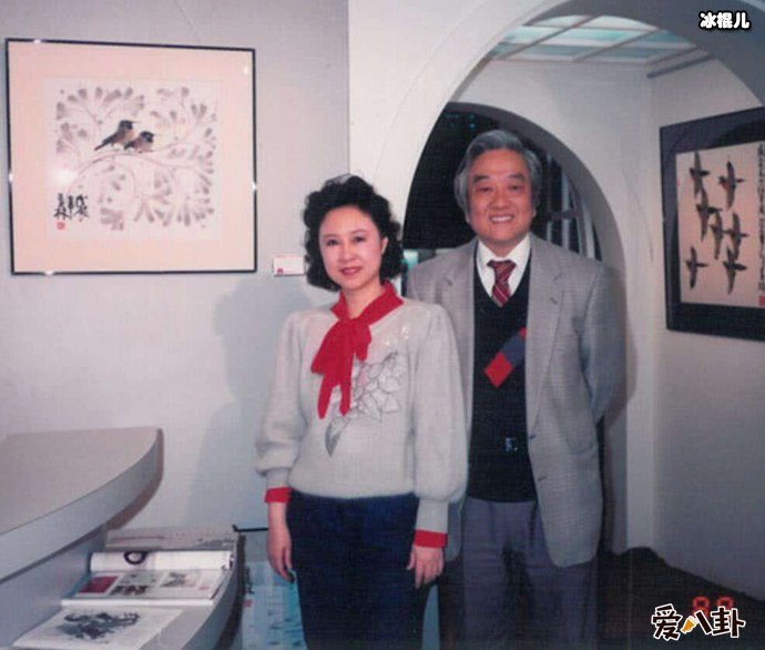 《梅花英雄梦》讲述的是什么