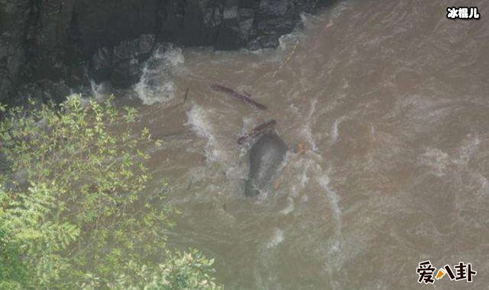 身旁还有屋头大象尸体