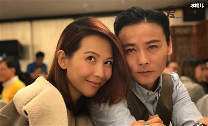 张晋蔡少芬的爱情故事