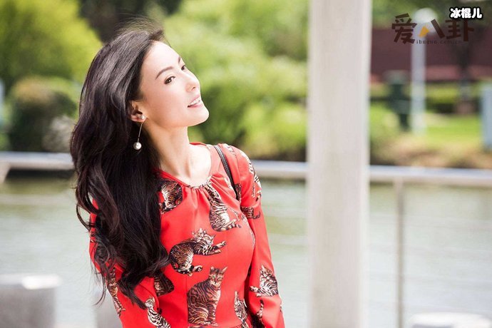 张柏芝再次复出赚钱