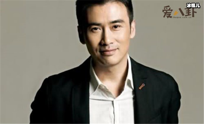 柳云龙怎么走红的