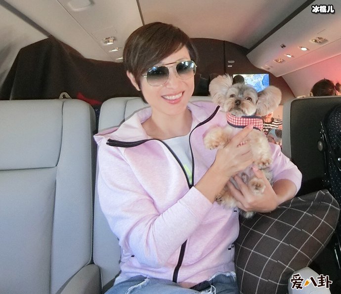 细数陈法蓉的历任男友