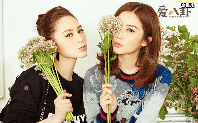 Twins为何总是阿娇出事