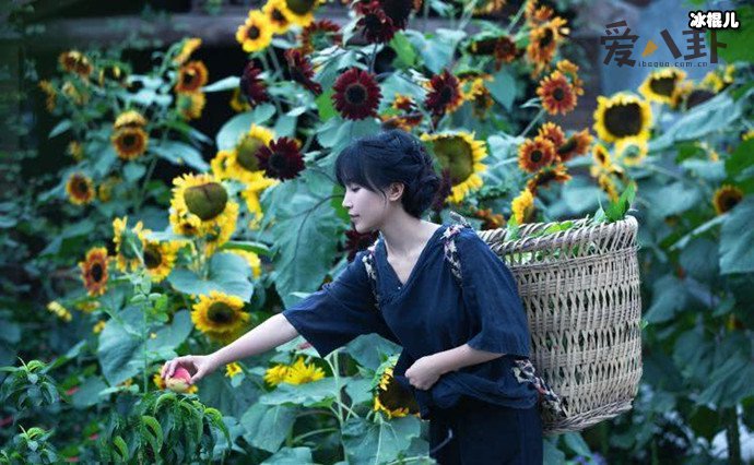 李子柒究竟有没有团队