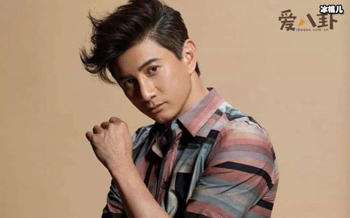 吴奇隆个人资产让人震惊